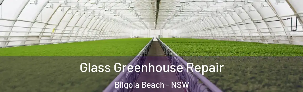  Glass Greenhouse Repair Bilgola Beach - NSW