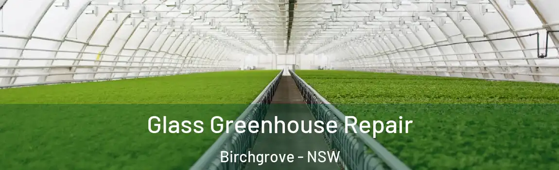  Glass Greenhouse Repair Birchgrove - NSW