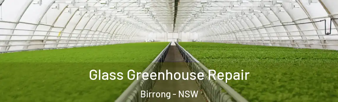  Glass Greenhouse Repair Birrong - NSW
