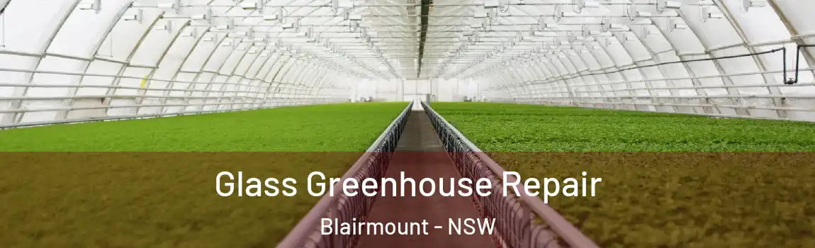  Glass Greenhouse Repair Blairmount - NSW