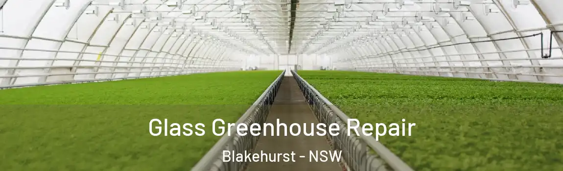  Glass Greenhouse Repair Blakehurst - NSW