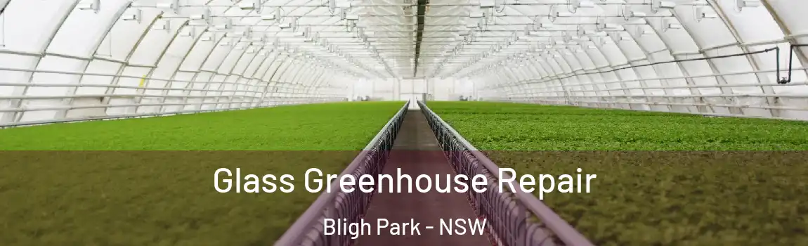  Glass Greenhouse Repair Bligh Park - NSW