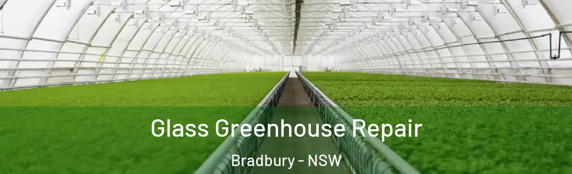  Glass Greenhouse Repair Bradbury - NSW