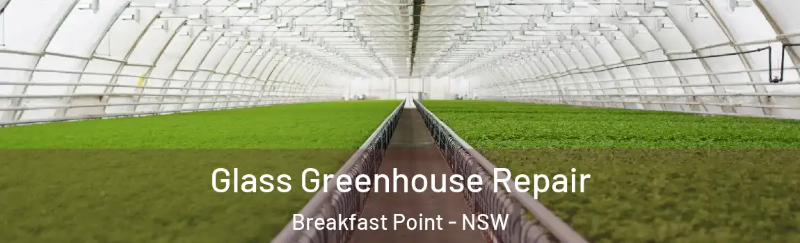  Glass Greenhouse Repair Breakfast Point - NSW