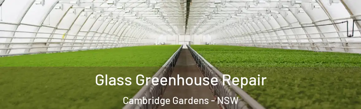  Glass Greenhouse Repair Cambridge Gardens - NSW