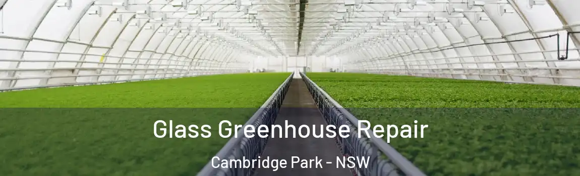 Glass Greenhouse Repair Cambridge Park - NSW
