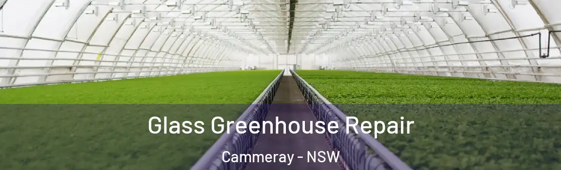  Glass Greenhouse Repair Cammeray - NSW