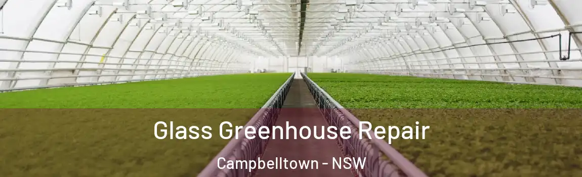  Glass Greenhouse Repair Campbelltown - NSW