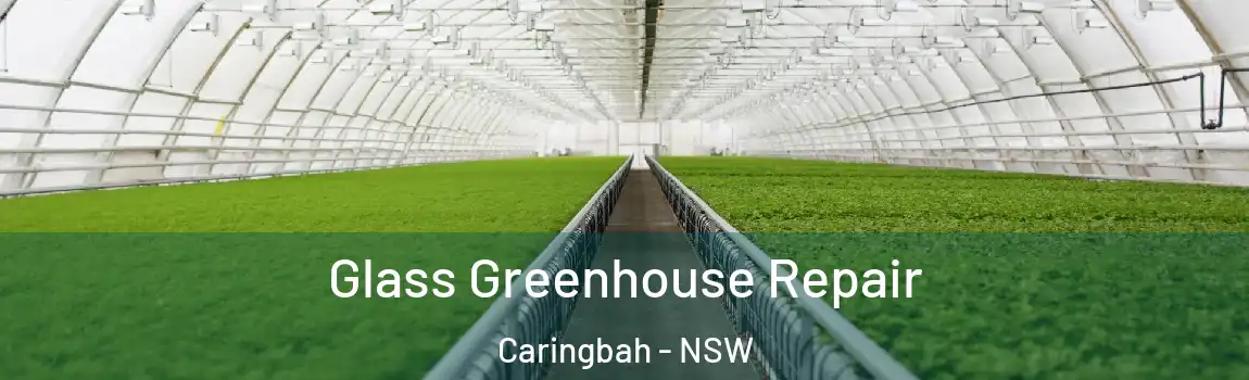  Glass Greenhouse Repair Caringbah - NSW