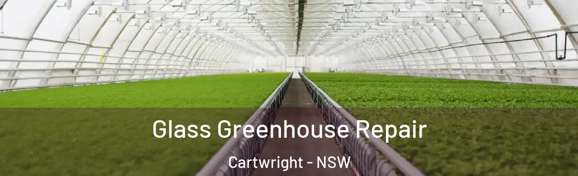  Glass Greenhouse Repair Cartwright - NSW