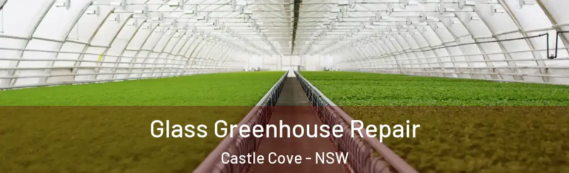  Glass Greenhouse Repair Castle Cove - NSW