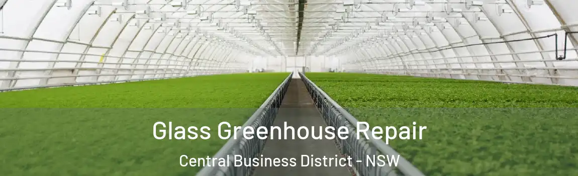  Glass Greenhouse Repair Central Business District - NSW