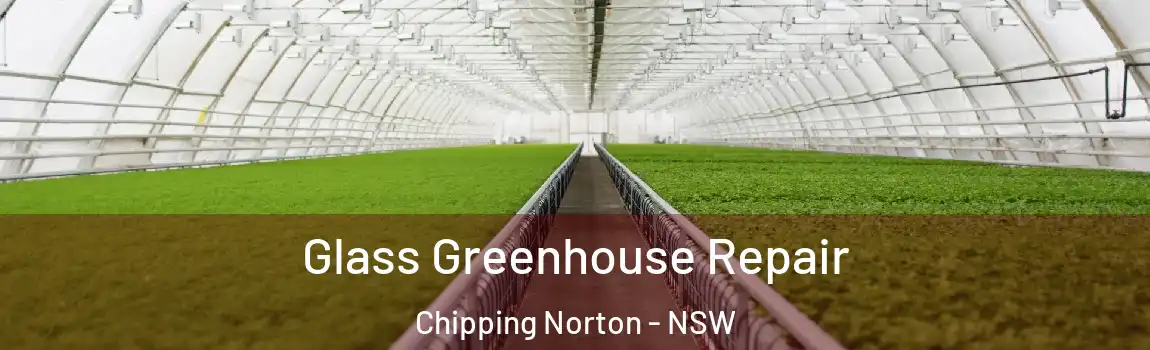  Glass Greenhouse Repair Chipping Norton - NSW