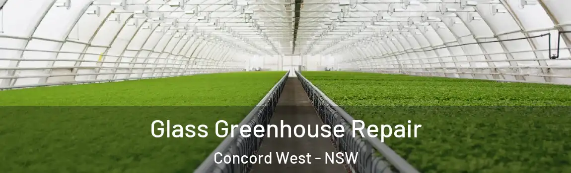  Glass Greenhouse Repair Concord West - NSW