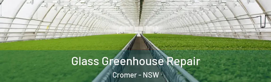  Glass Greenhouse Repair Cromer - NSW