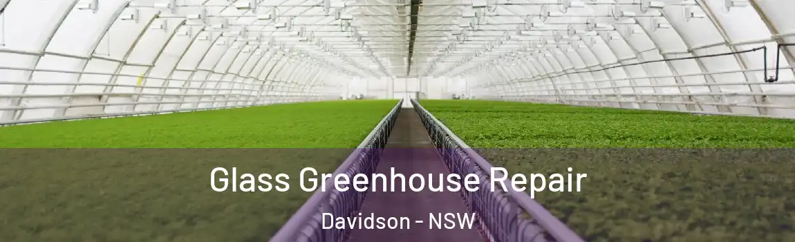  Glass Greenhouse Repair Davidson - NSW