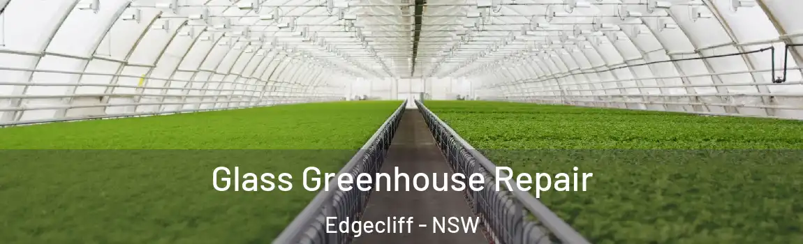  Glass Greenhouse Repair Edgecliff - NSW