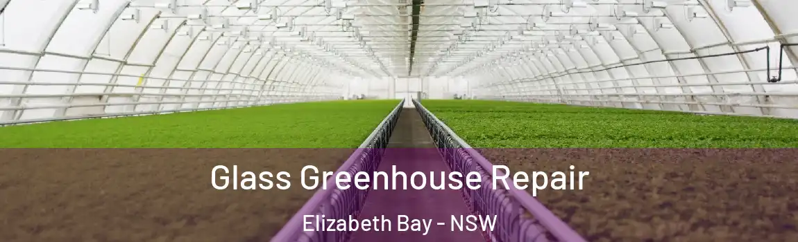  Glass Greenhouse Repair Elizabeth Bay - NSW
