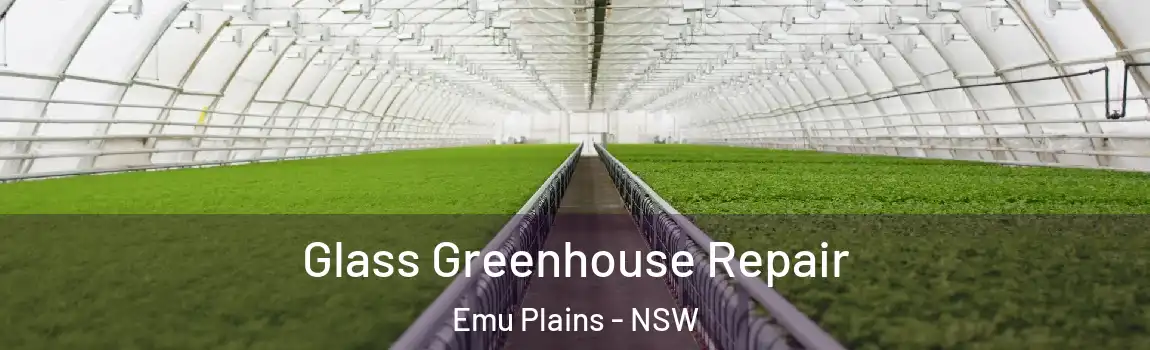  Glass Greenhouse Repair Emu Plains - NSW