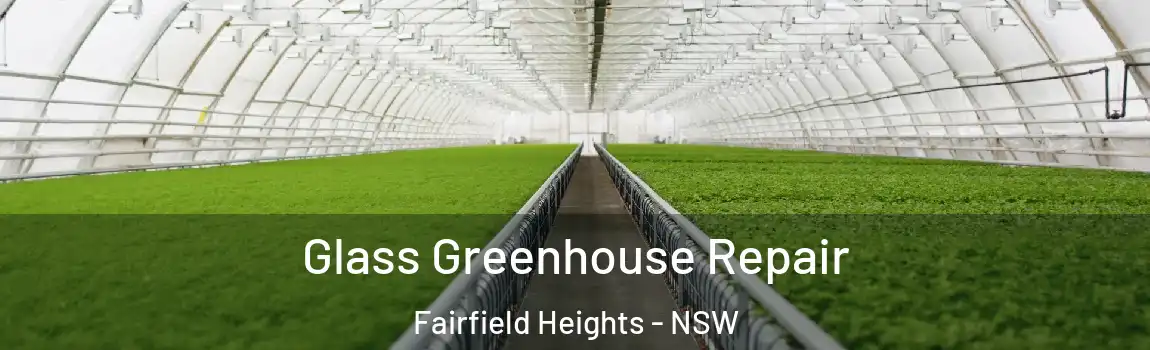  Glass Greenhouse Repair Fairfield Heights - NSW