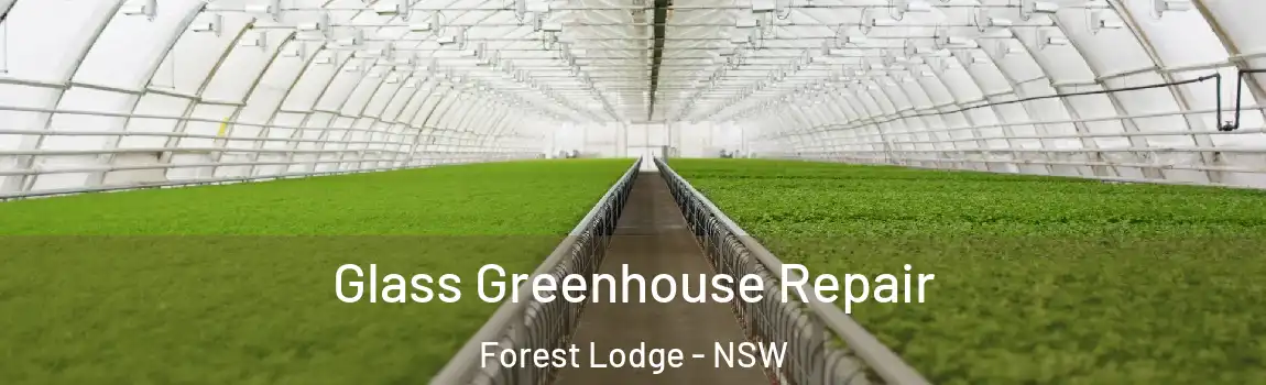  Glass Greenhouse Repair Forest Lodge - NSW