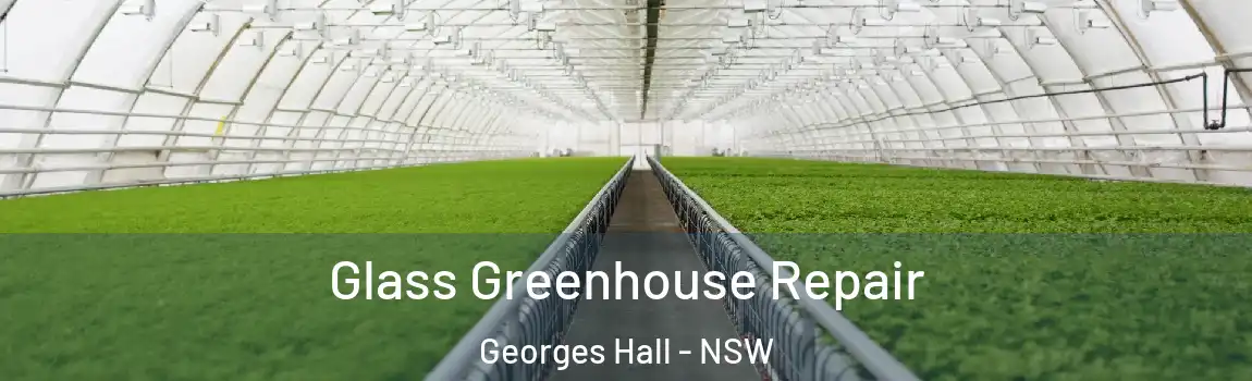  Glass Greenhouse Repair Georges Hall - NSW