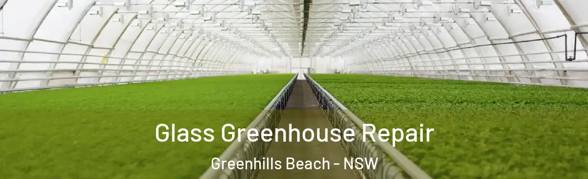 Glass Greenhouse Repair Greenhills Beach - NSW