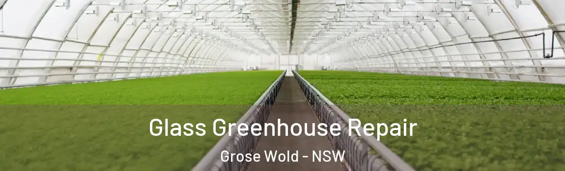 Glass Greenhouse Repair Grose Wold - NSW
