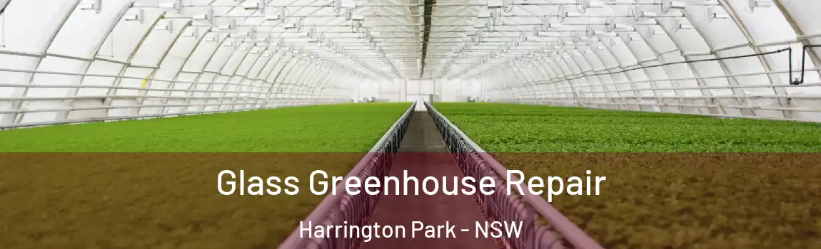  Glass Greenhouse Repair Harrington Park - NSW