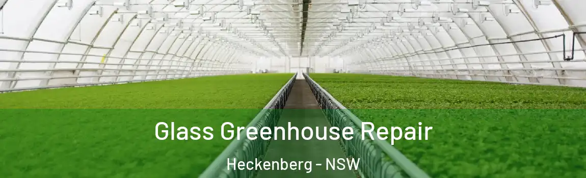  Glass Greenhouse Repair Heckenberg - NSW