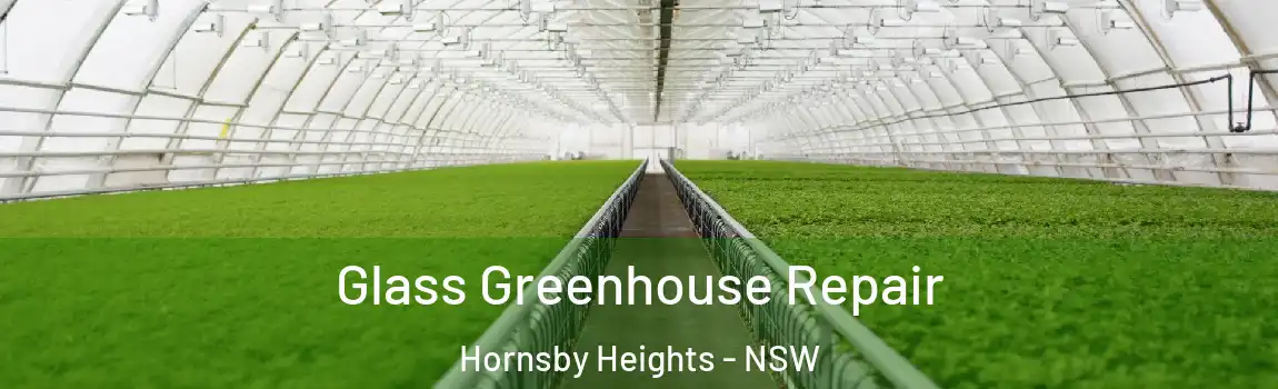  Glass Greenhouse Repair Hornsby Heights - NSW