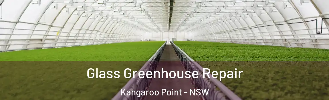  Glass Greenhouse Repair Kangaroo Point - NSW