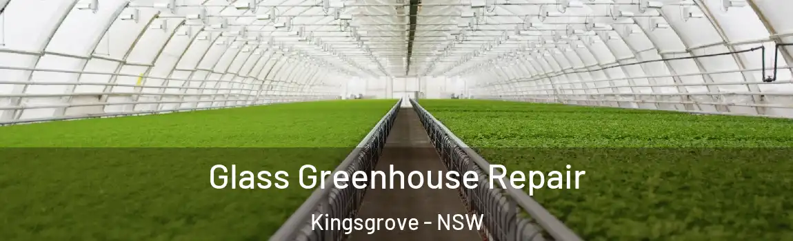  Glass Greenhouse Repair Kingsgrove - NSW