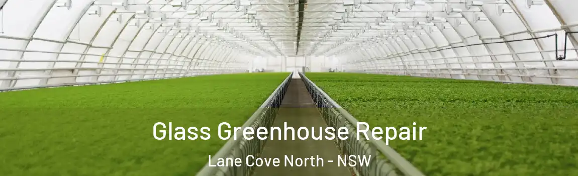  Glass Greenhouse Repair Lane Cove North - NSW