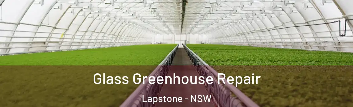  Glass Greenhouse Repair Lapstone - NSW