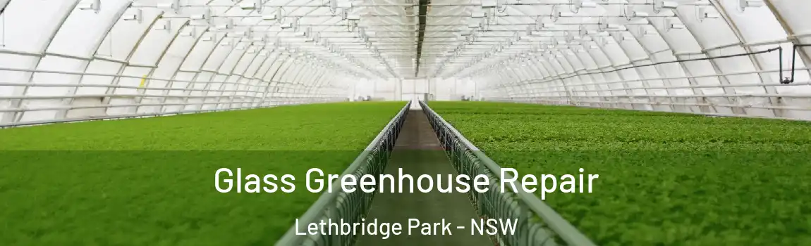  Glass Greenhouse Repair Lethbridge Park - NSW