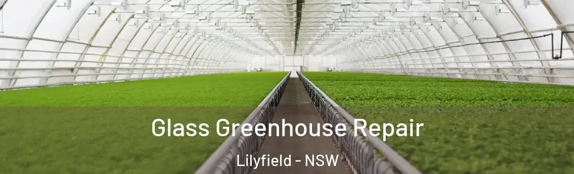  Glass Greenhouse Repair Lilyfield - NSW