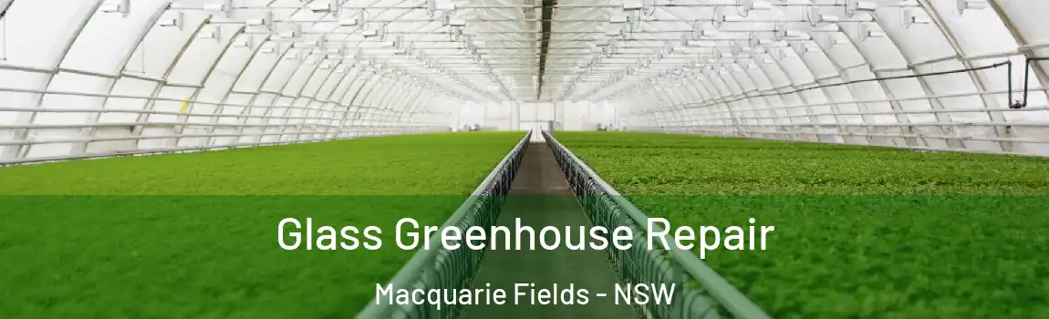  Glass Greenhouse Repair Macquarie Fields - NSW