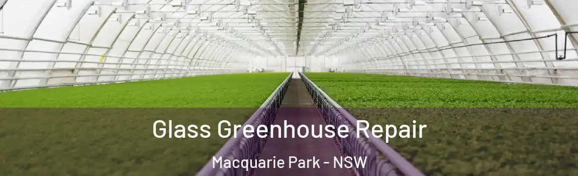  Glass Greenhouse Repair Macquarie Park - NSW