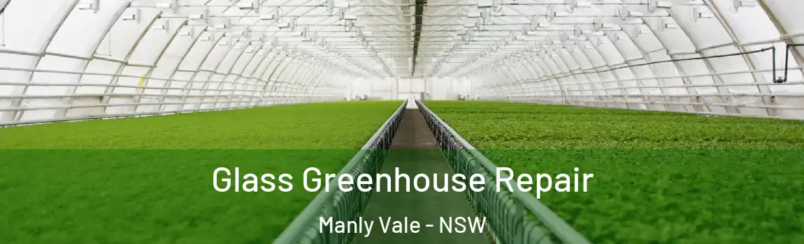  Glass Greenhouse Repair Manly Vale - NSW
