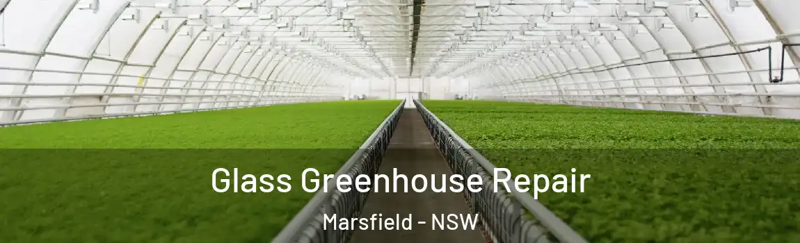  Glass Greenhouse Repair Marsfield - NSW