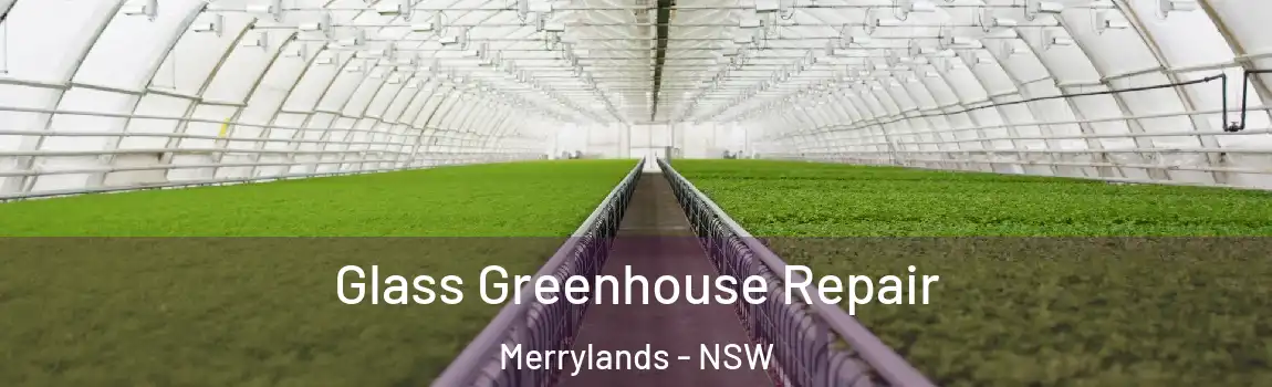  Glass Greenhouse Repair Merrylands - NSW