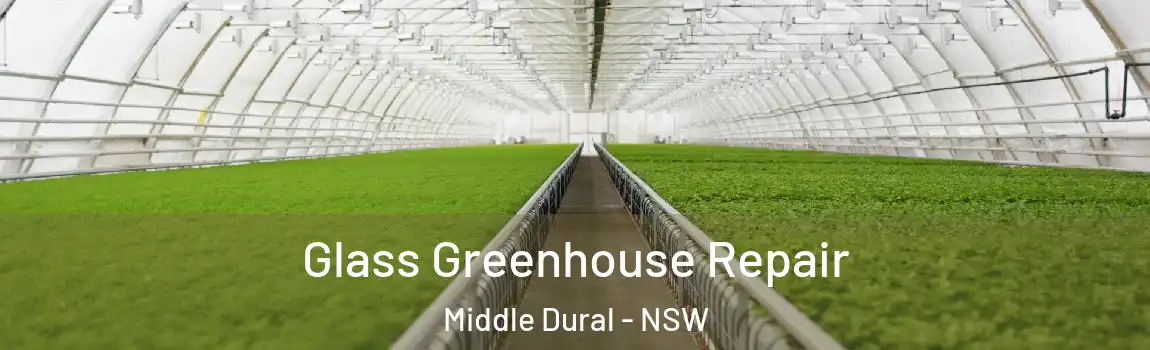  Glass Greenhouse Repair Middle Dural - NSW