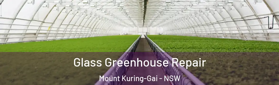  Glass Greenhouse Repair Mount Kuring-Gai - NSW
