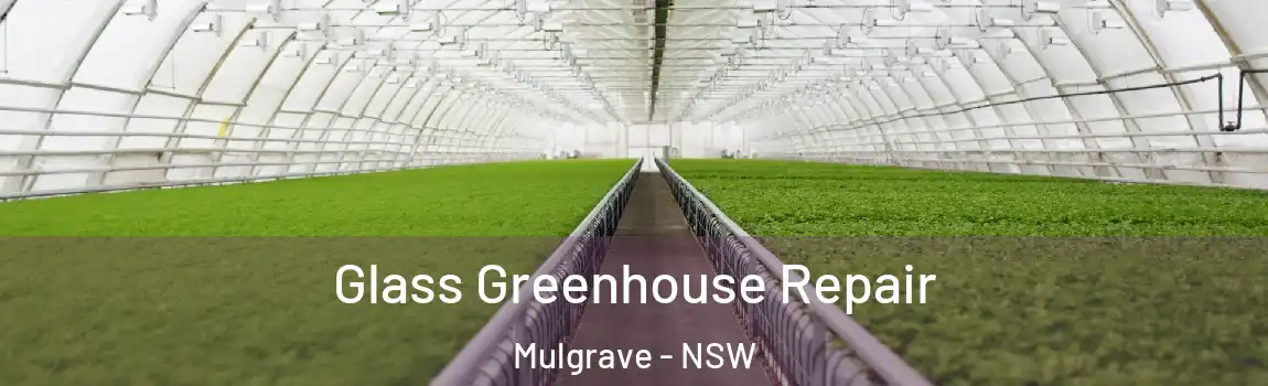  Glass Greenhouse Repair Mulgrave - NSW
