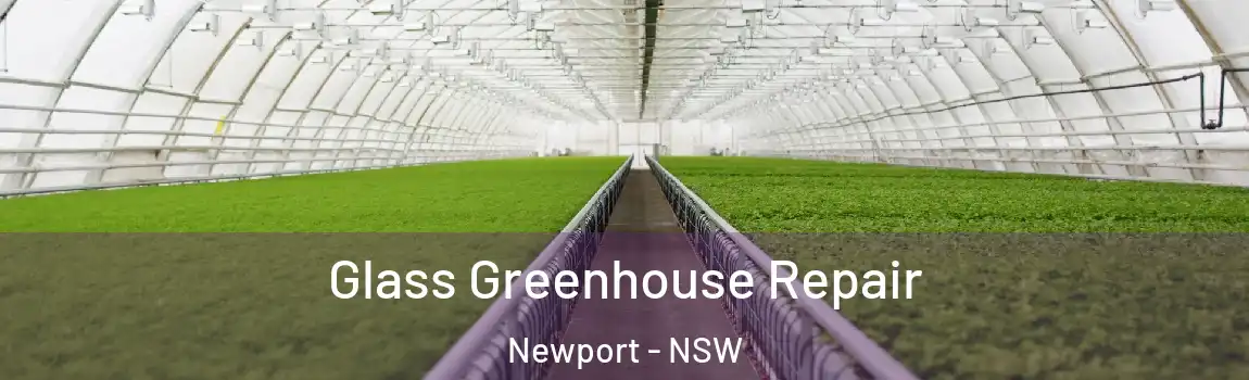 Glass Greenhouse Repair Newport - NSW