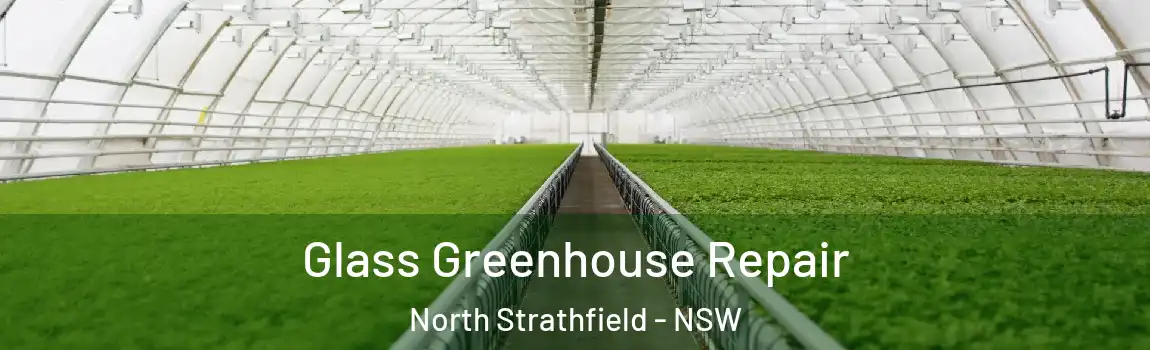  Glass Greenhouse Repair North Strathfield - NSW