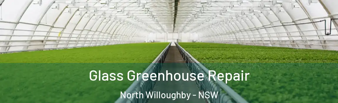  Glass Greenhouse Repair North Willoughby - NSW