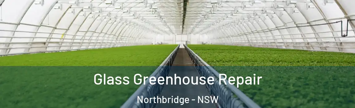 Glass Greenhouse Repair Northbridge - NSW