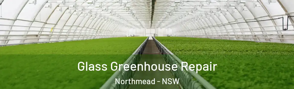  Glass Greenhouse Repair Northmead - NSW